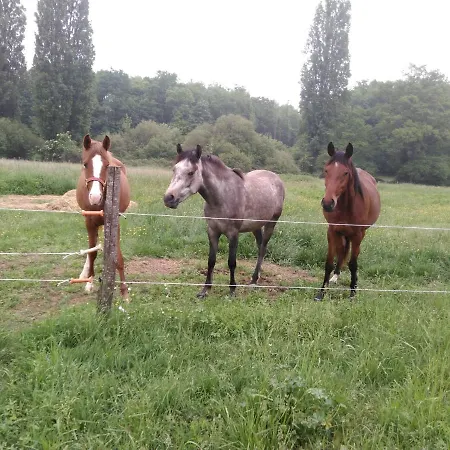 Frühstückspension D'hotes Gourdon-en-quercy