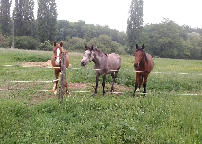 Bed and Breakfast D'hotes Gourdon-en-quercy